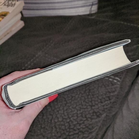 Book (Lemony Snicket) - Picture 7 of 8